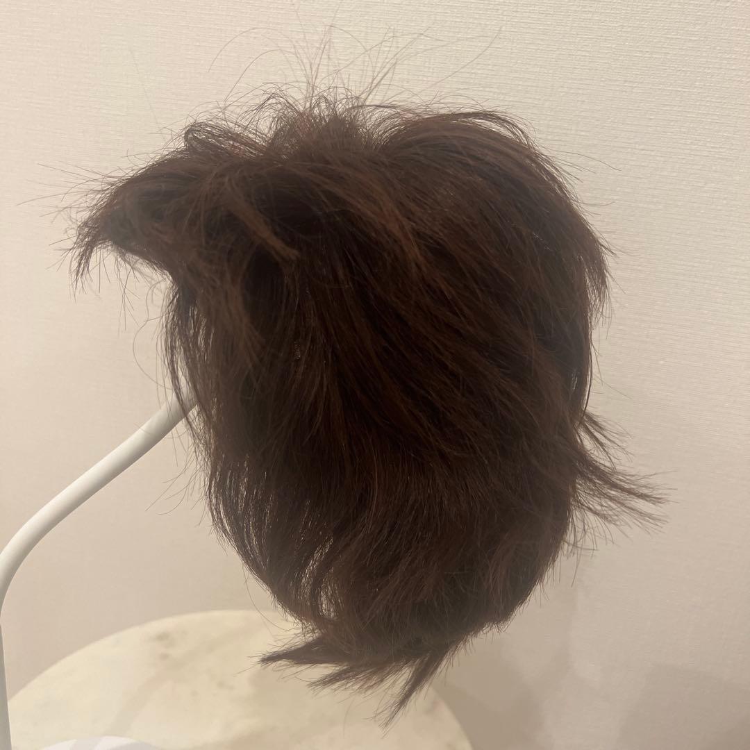 新品未使用　人毛100% ショートウィッグ
