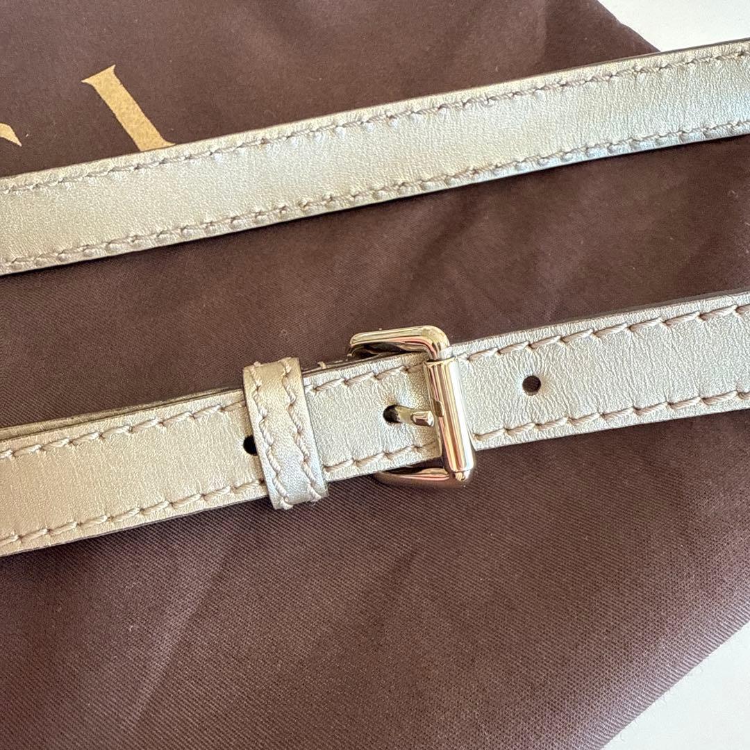 【極美品・チャームなし】GUCCIスーキー 2WAY グッチシマ 247902