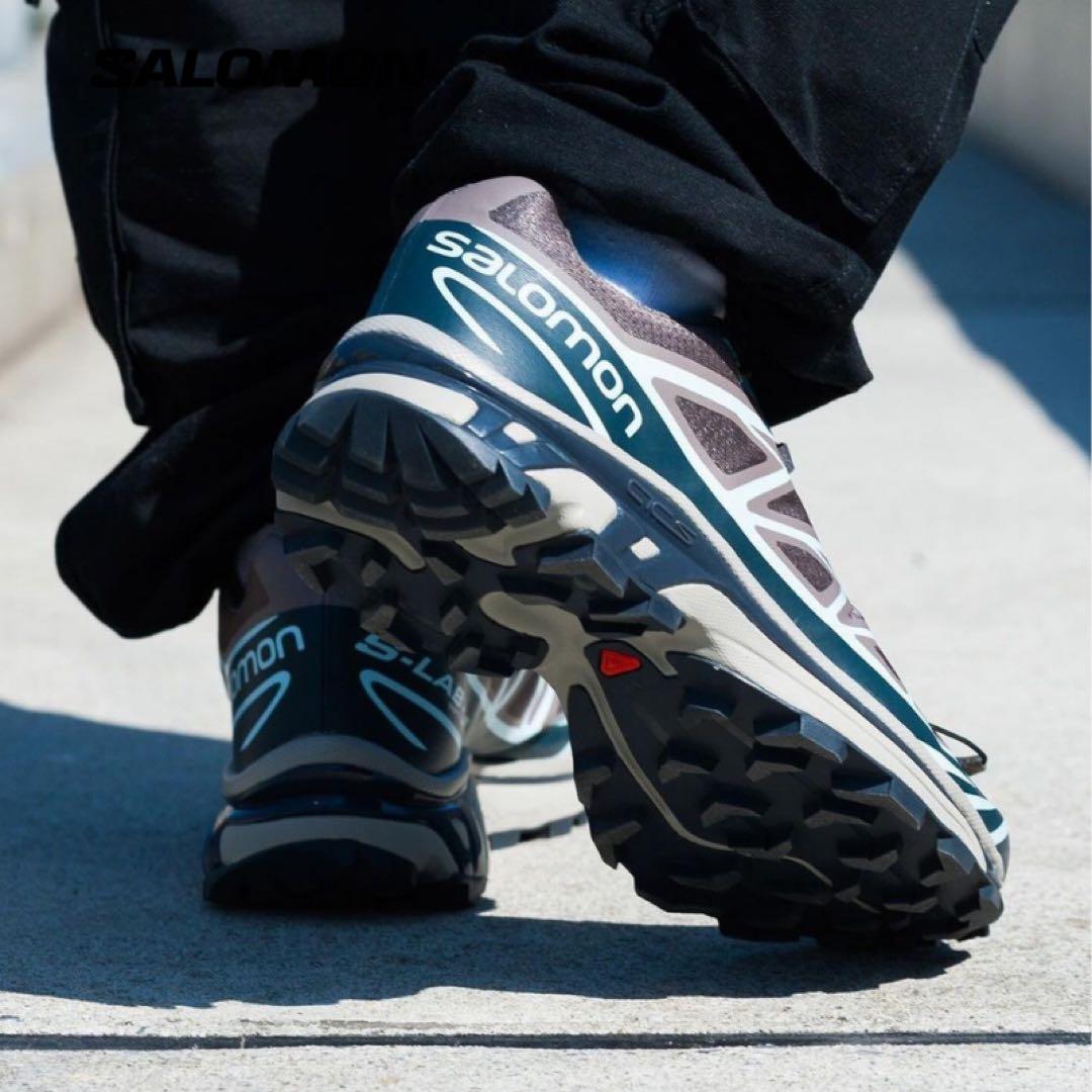 靴 salomon xt-6 plum kitten india ink