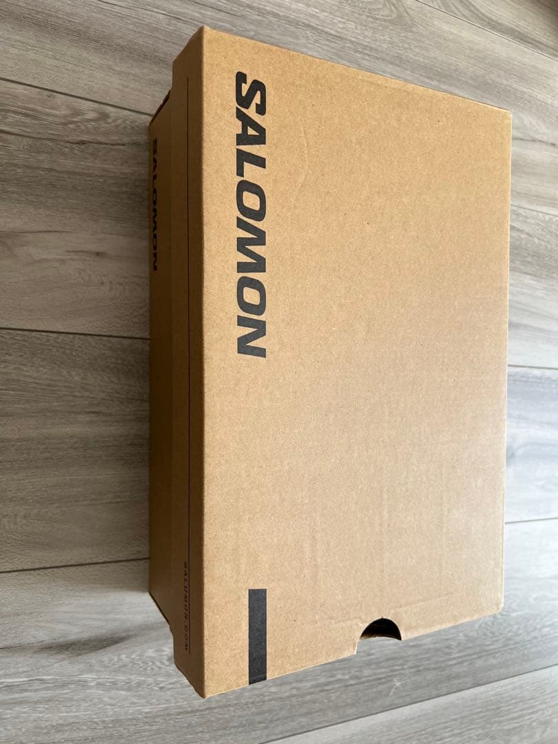 靴 salomon xt-6 plum kitten india ink