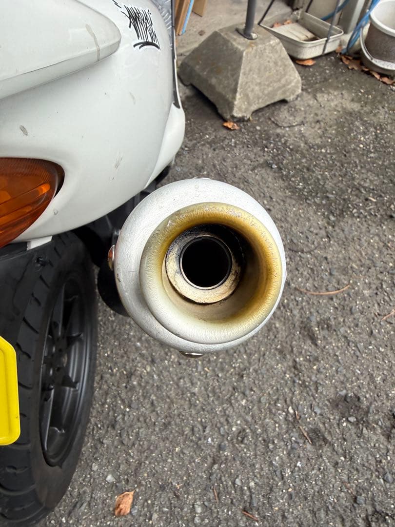 送料込み‼️カメレオンファクトリー　パラライザーⅢ 耐熱ブラックver