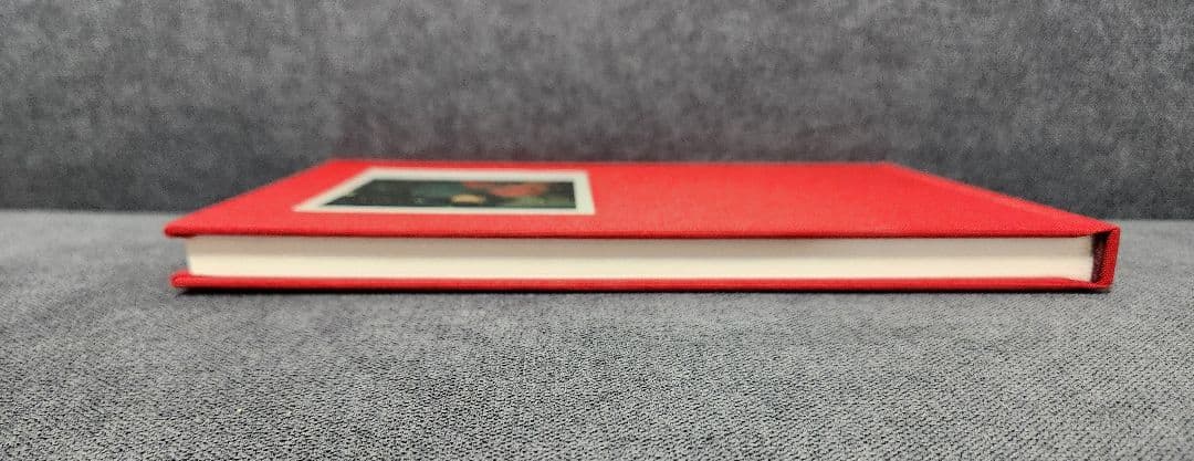 【500部限定】PiLのJEANNETTE LEE写真集