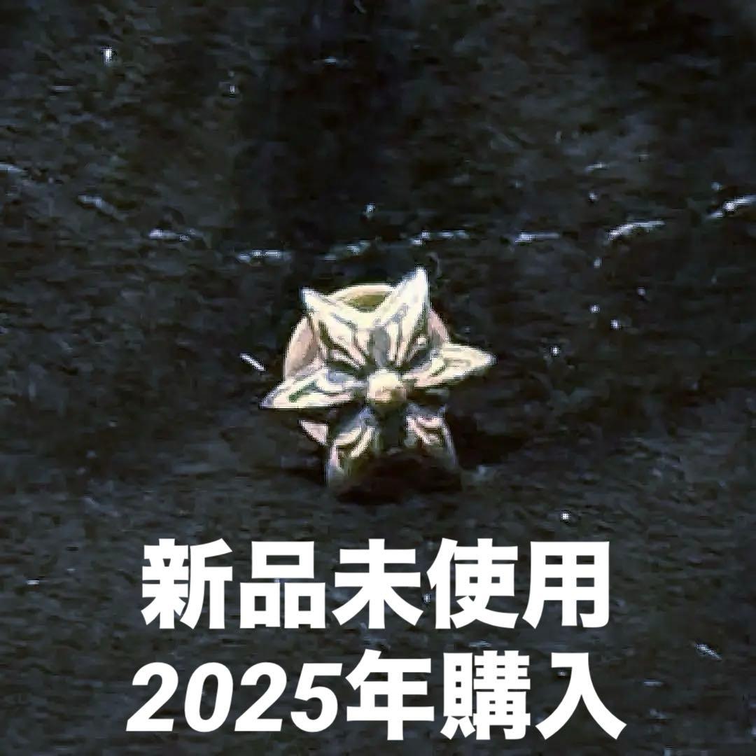 新品未使用 CHROME HEARTS スタースタッドピアス シルバー925