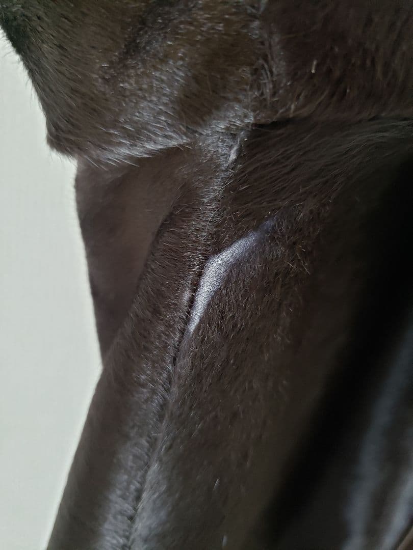 r*u様 CK カルバンクライン　レザー　ジャケット