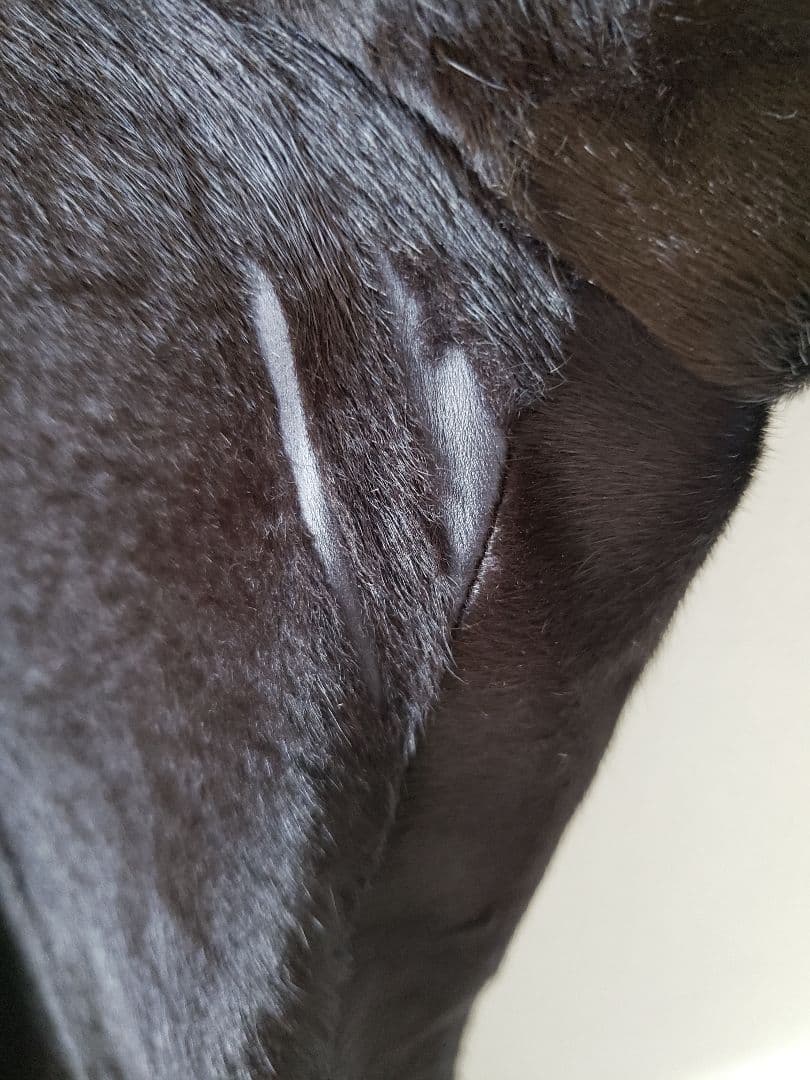 r*u様 CK カルバンクライン　レザー　ジャケット