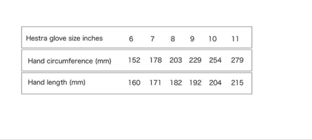 HESTRA Wakayama Mitt 8 新品(レザーバーム付き)