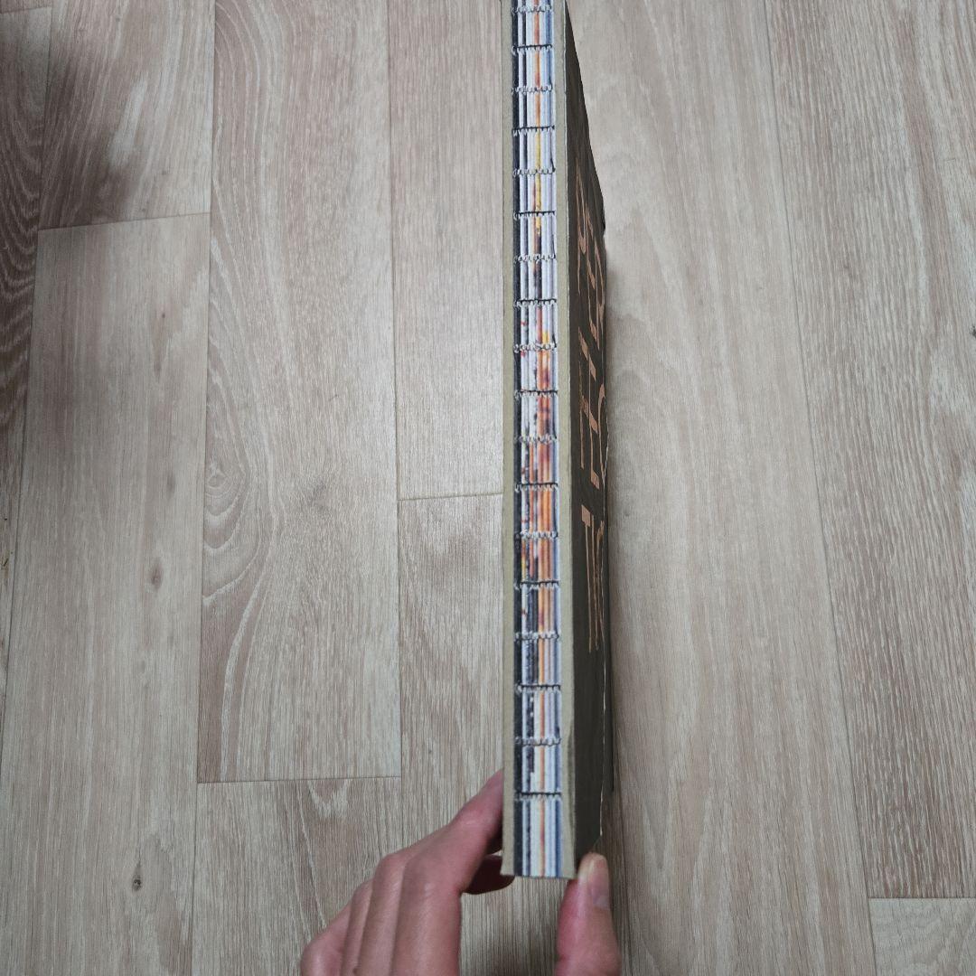 ジャニス・ウォン PERFECTION