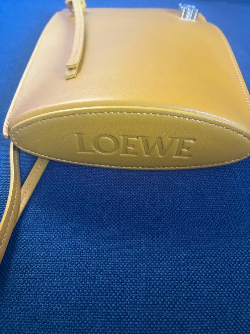 ⭐︎美品⭐︎LOEWE ロエベ　ダイスポケット