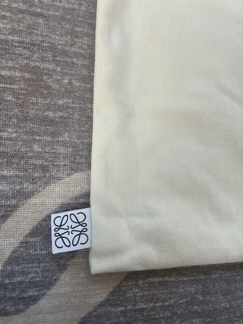 ⭐︎美品⭐︎LOEWE ロエベ　ダイスポケット