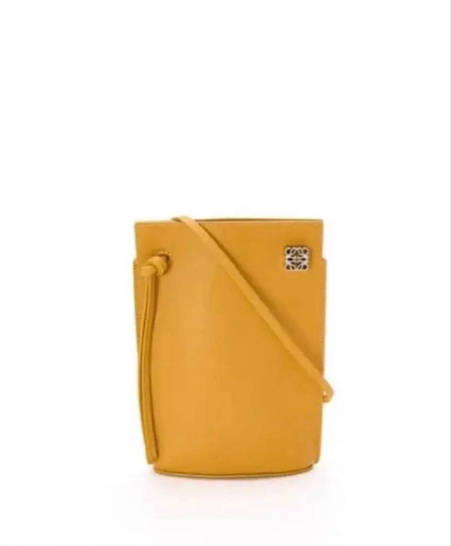 ⭐︎美品⭐︎LOEWE ロエベ　ダイスポケット