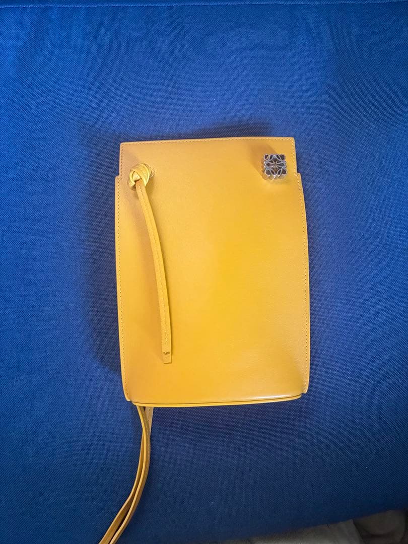 ⭐︎美品⭐︎LOEWE ロエベ　ダイスポケット