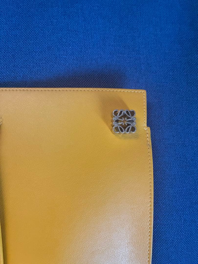 ⭐︎美品⭐︎LOEWE ロエベ　ダイスポケット