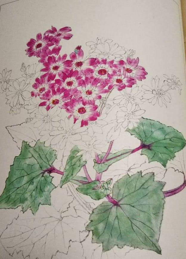 牧野富太郎 校訂 「萬花図鑑」8巻セット 100年前のボタニカルアート  辻永著