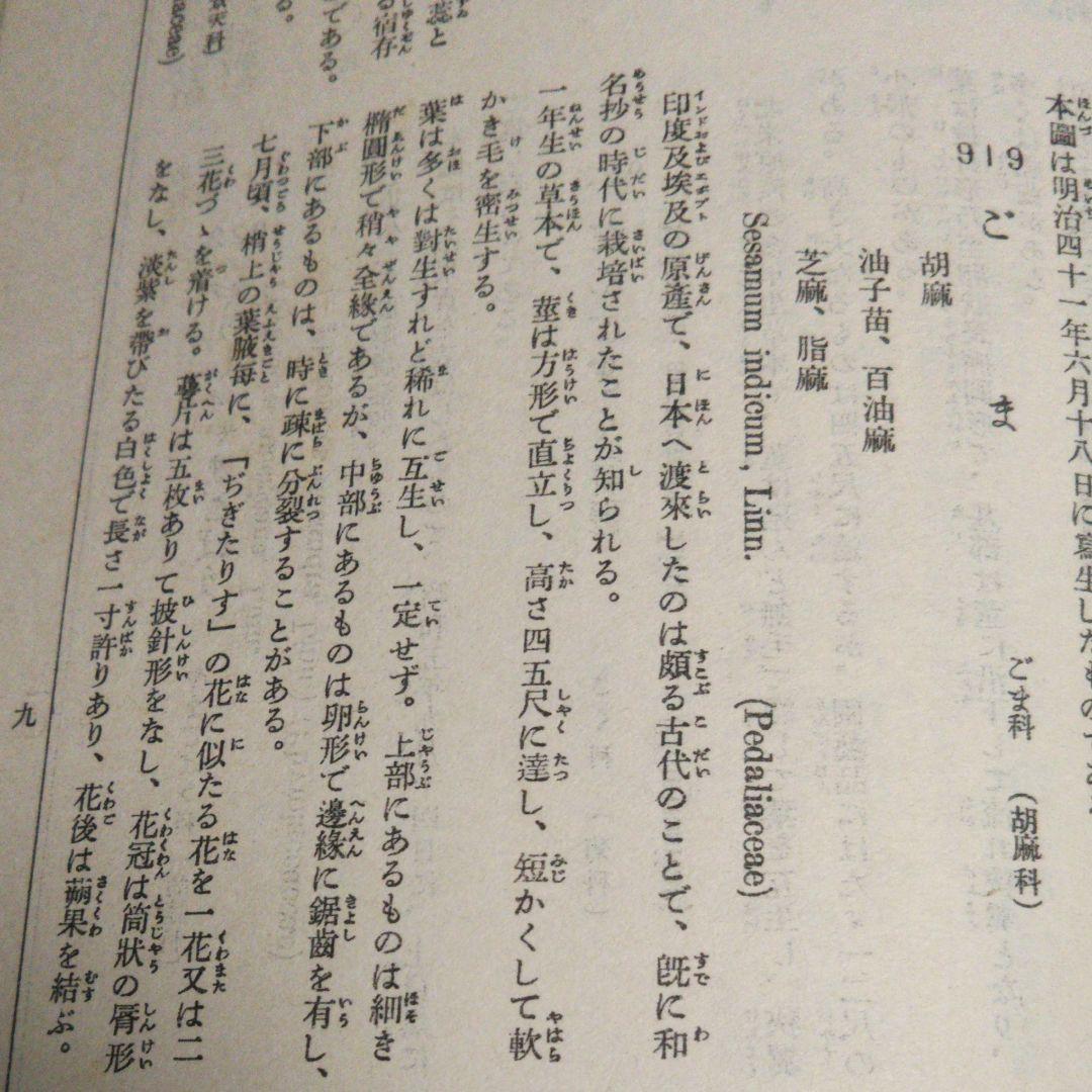 牧野富太郎 校訂 「萬花図鑑」8巻セット 100年前のボタニカルアート  辻永著
