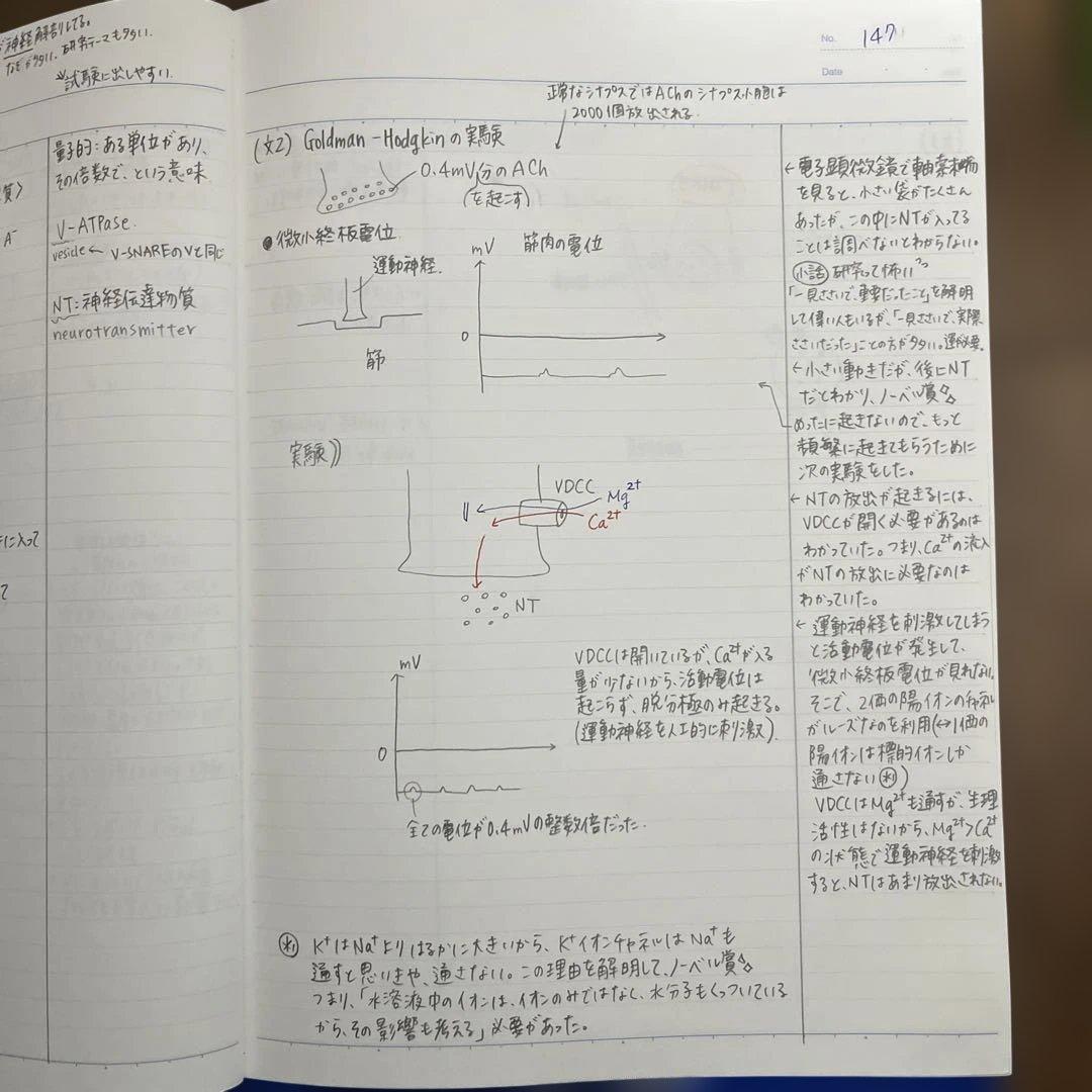 【クジラ様】KALS2025年度実戦ノートおよび細胞の分子生物学