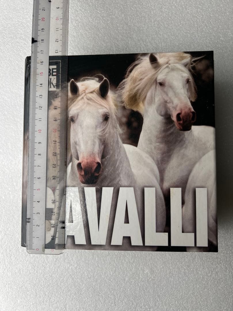 【希少・貴重】イタリア語版　世界中の馬の写真集　CUBE BOOK インテリア