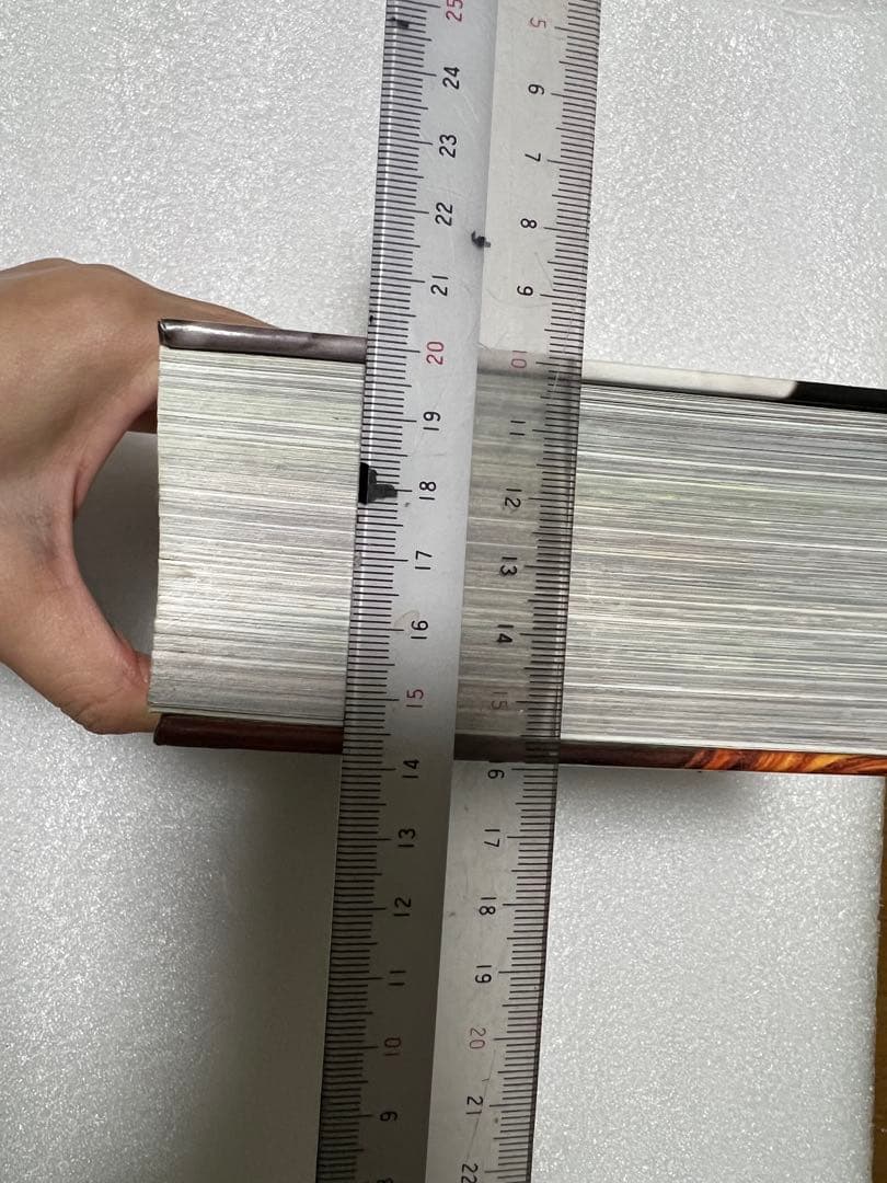 【希少・貴重】イタリア語版　世界中の馬の写真集　CUBE BOOK インテリア