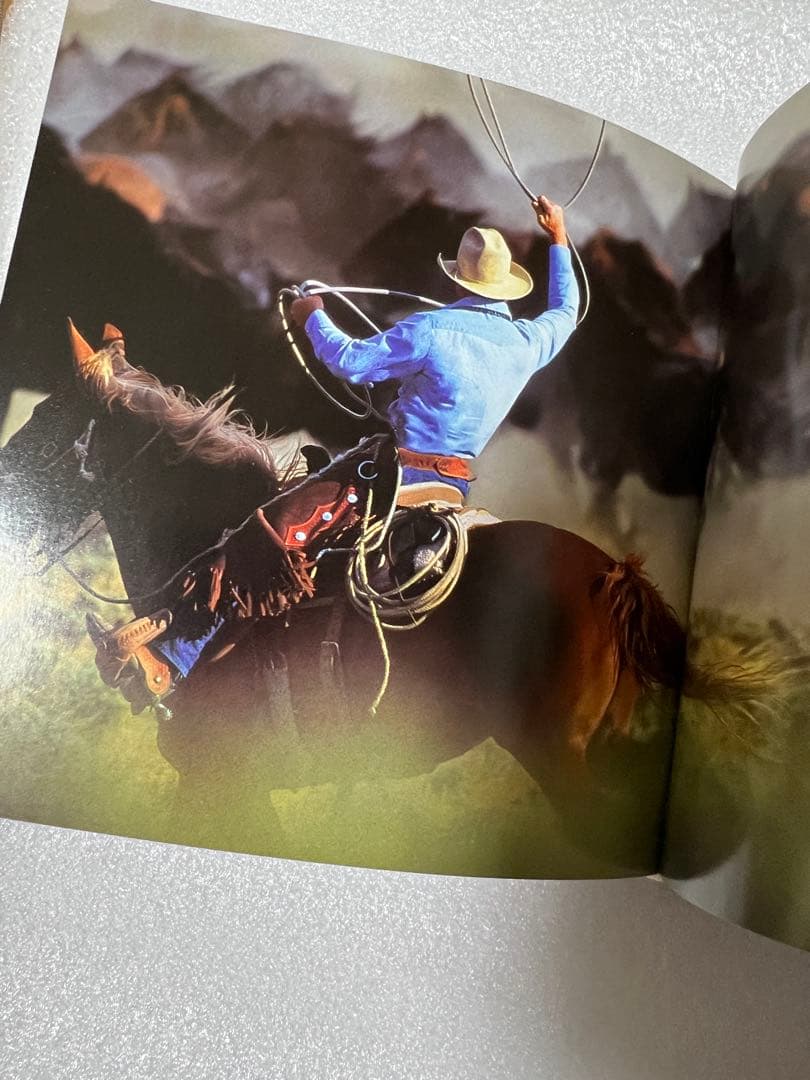 【希少・貴重】イタリア語版　世界中の馬の写真集　CUBE BOOK インテリア