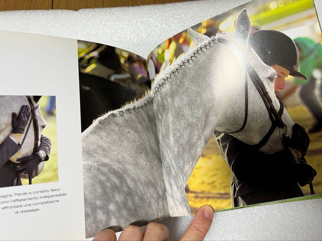 【希少・貴重】イタリア語版　世界中の馬の写真集　CUBE BOOK インテリア