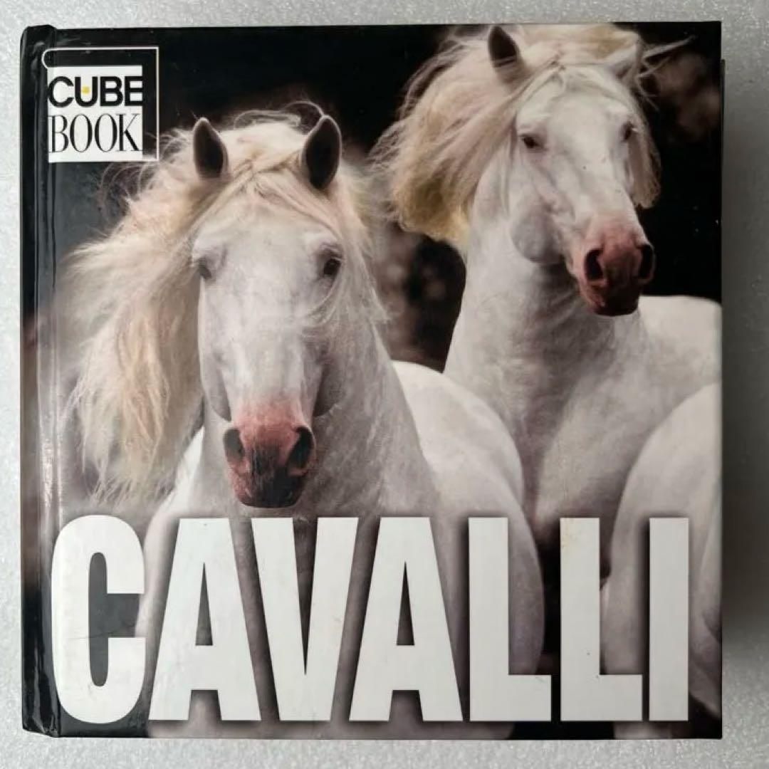 【希少・貴重】イタリア語版　世界中の馬の写真集　CUBE BOOK インテリア