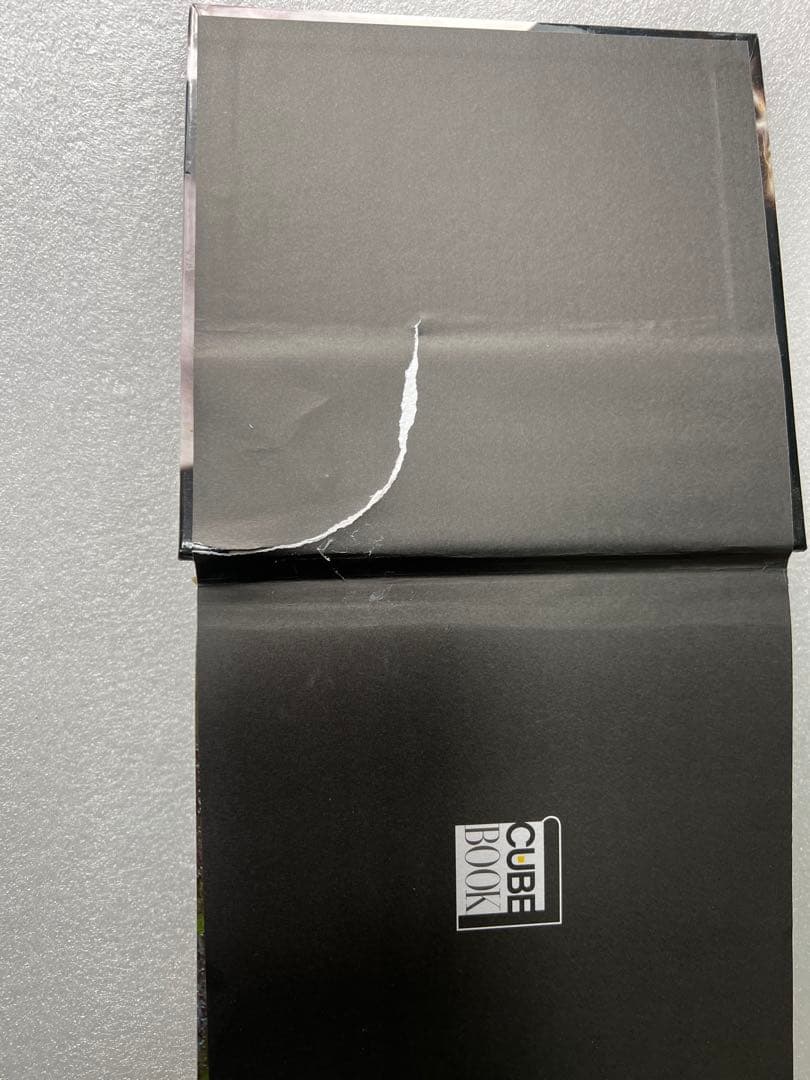 【希少・貴重】イタリア語版　世界中の馬の写真集　CUBE BOOK インテリア