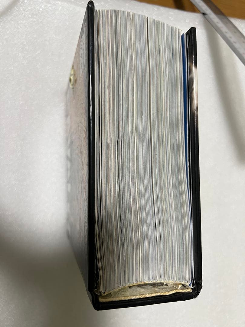 【希少・貴重】イタリア語版　世界中の馬の写真集　CUBE BOOK インテリア