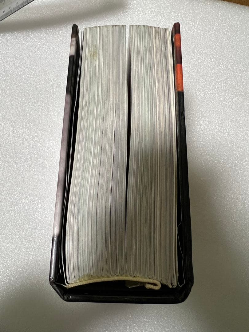 【希少・貴重】イタリア語版　世界中の馬の写真集　CUBE BOOK インテリア