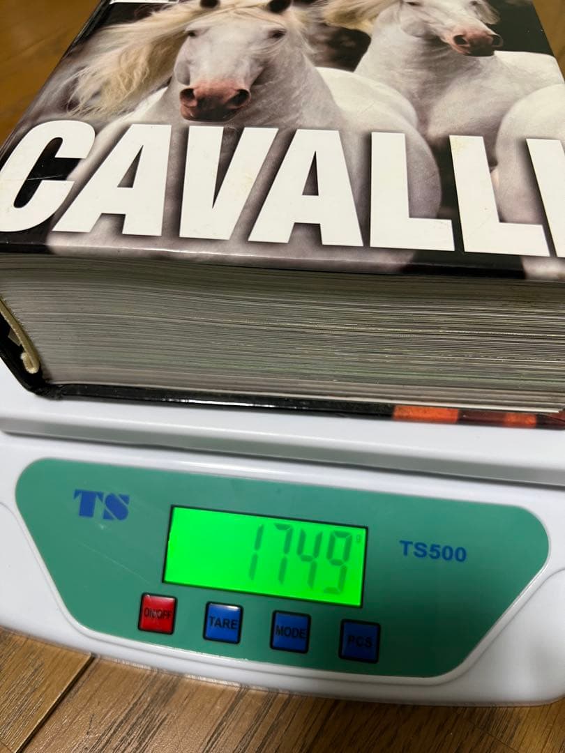 【希少・貴重】イタリア語版　世界中の馬の写真集　CUBE BOOK インテリア