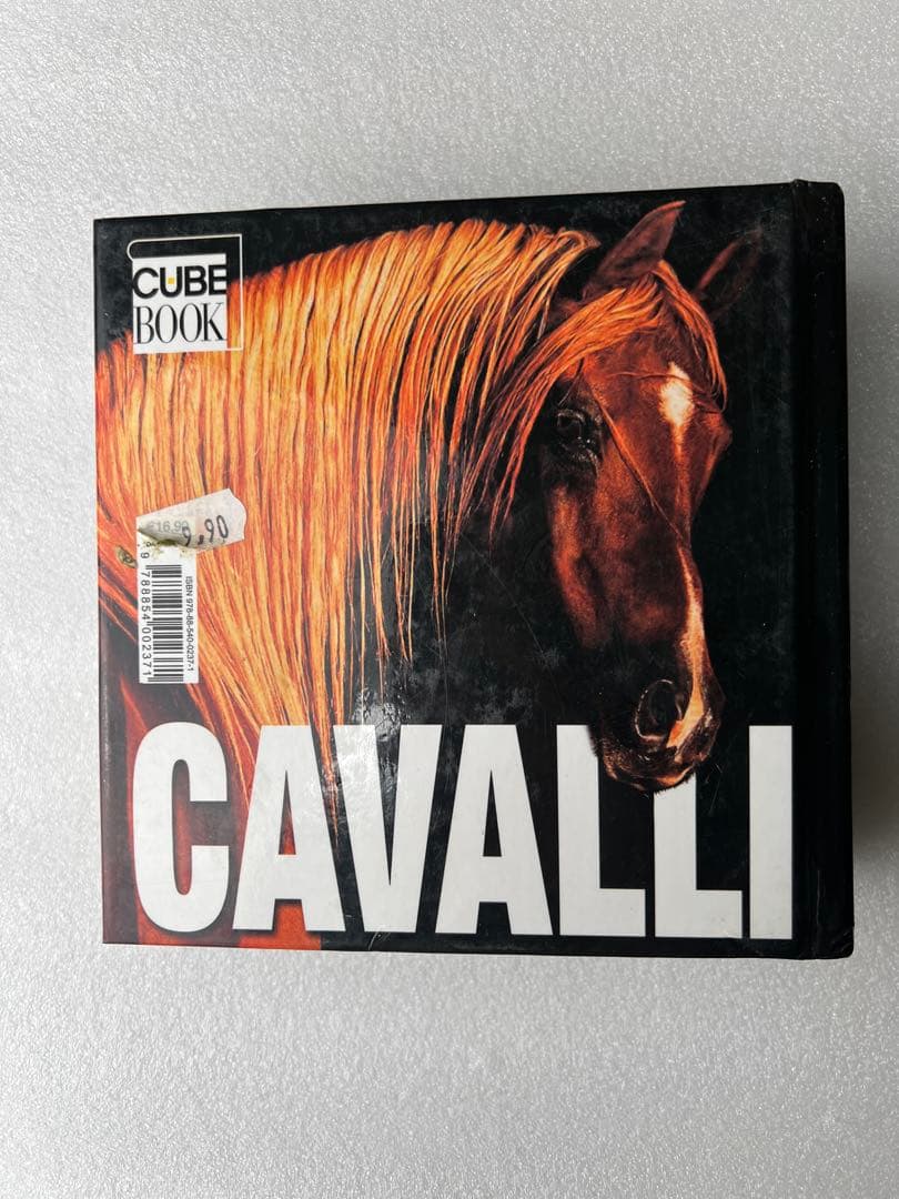 【希少・貴重】イタリア語版　世界中の馬の写真集　CUBE BOOK インテリア