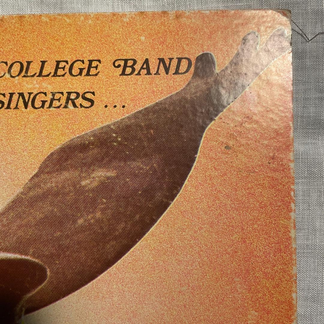 洋楽 The Ambassador Spread Some Sunshine