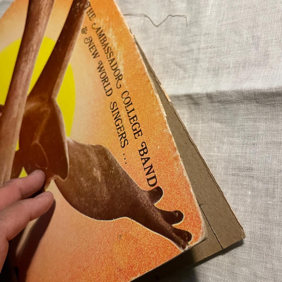 洋楽 The Ambassador Spread Some Sunshine