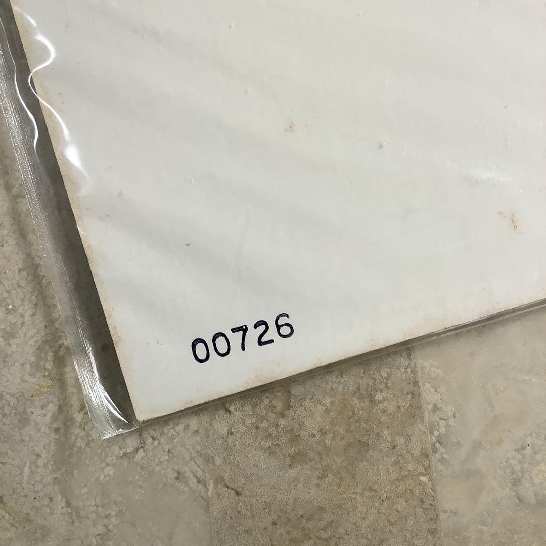 激レア! レコード新品! 大滝詠一 ロンバケ透明レコード 初期ナンバー限定1万枚