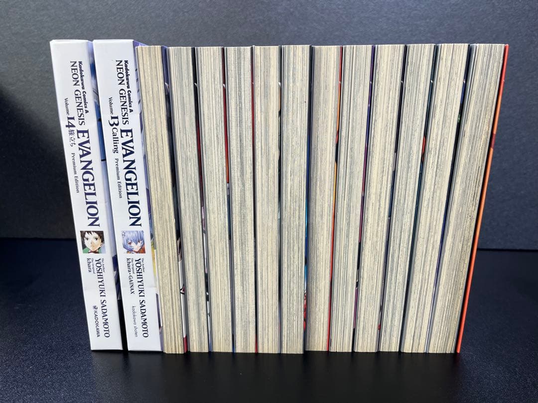 新世紀エヴァンゲリオン 全14巻 (13•14巻 プレミアム限定版付属品完備)