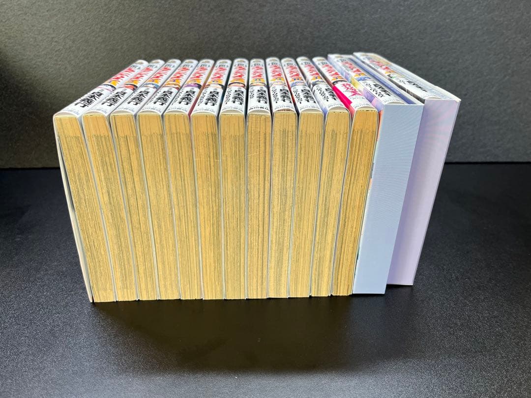 新世紀エヴァンゲリオン 全14巻 (13•14巻 プレミアム限定版付属品完備)