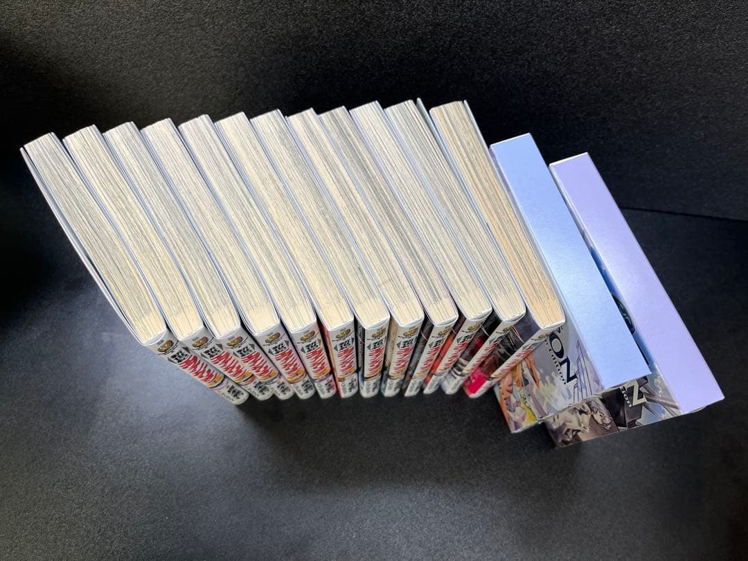 新世紀エヴァンゲリオン 全14巻 (13•14巻 プレミアム限定版付属品完備)