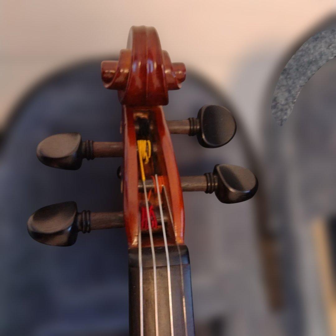 恵那Ena分数バイオリン1/2本体　弓 ソフトケース　肩当て　2021年日本製