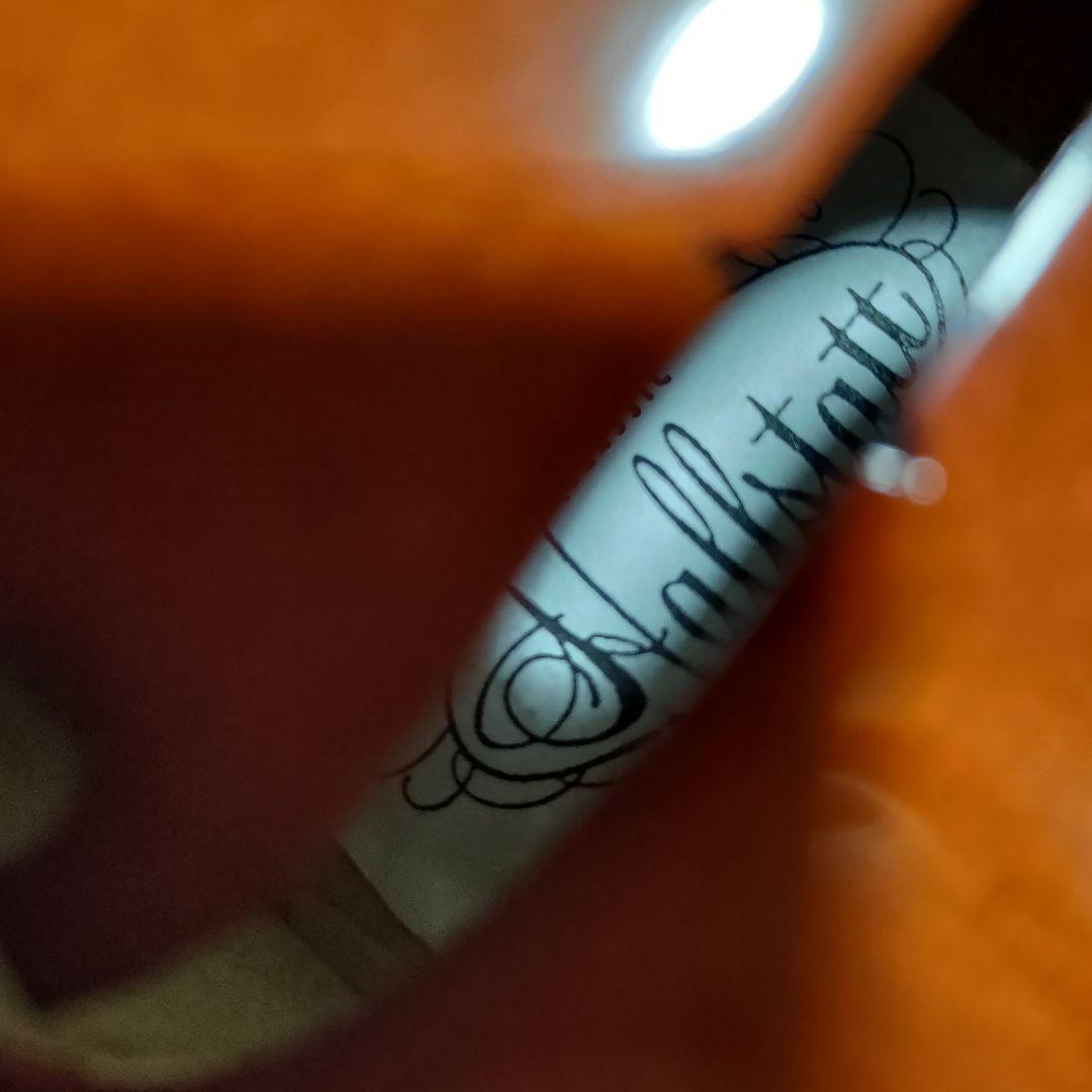 【訳アリ】Hallstatt ハルシュタット エレキバイオリン CV-210E