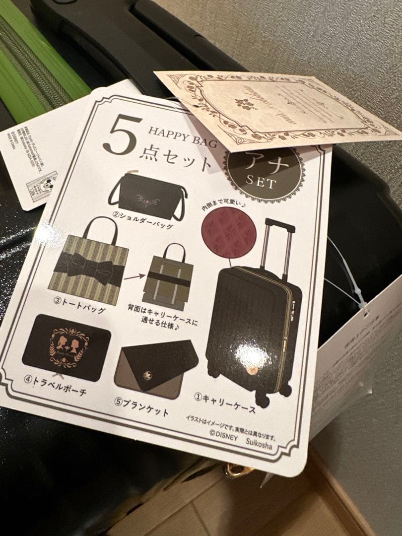しまむら ちはる コラボ　キャリーケース5点セット　アナ雪　ハッピーバッグ　アナ