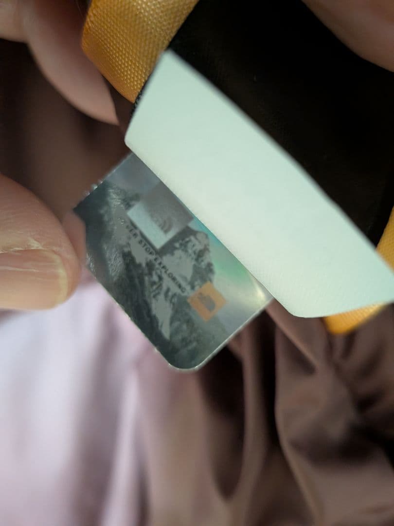 国内未発売 ノースフェイス エコ ヌプシベスト レディース ダウンベスト