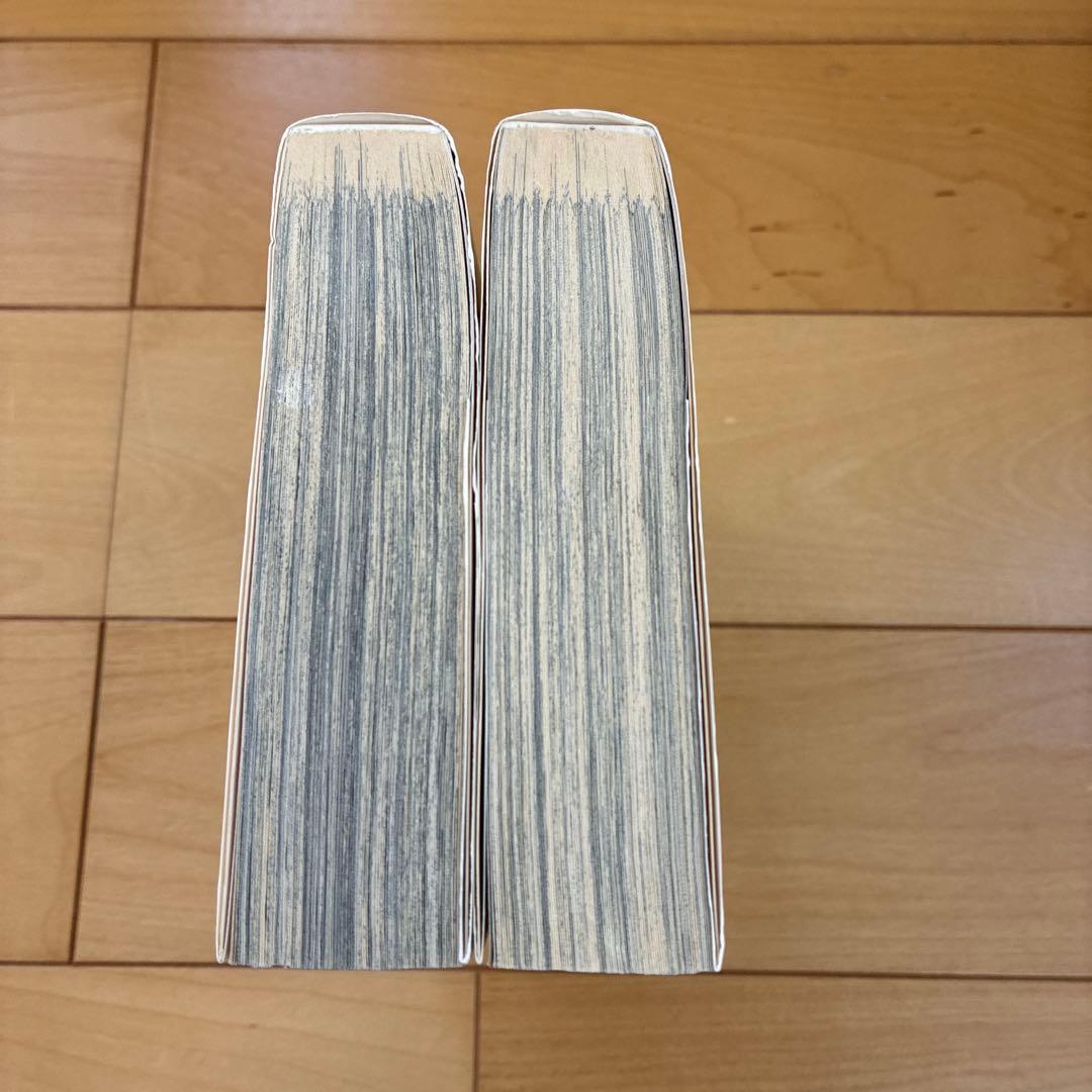 アマテラス 1、2 花とゆめコミックスペシャル　初版発行　美内すずえ