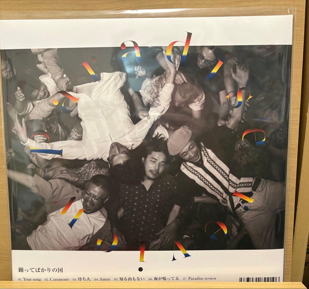 踊ってばかりの国 / Paradise Review LP