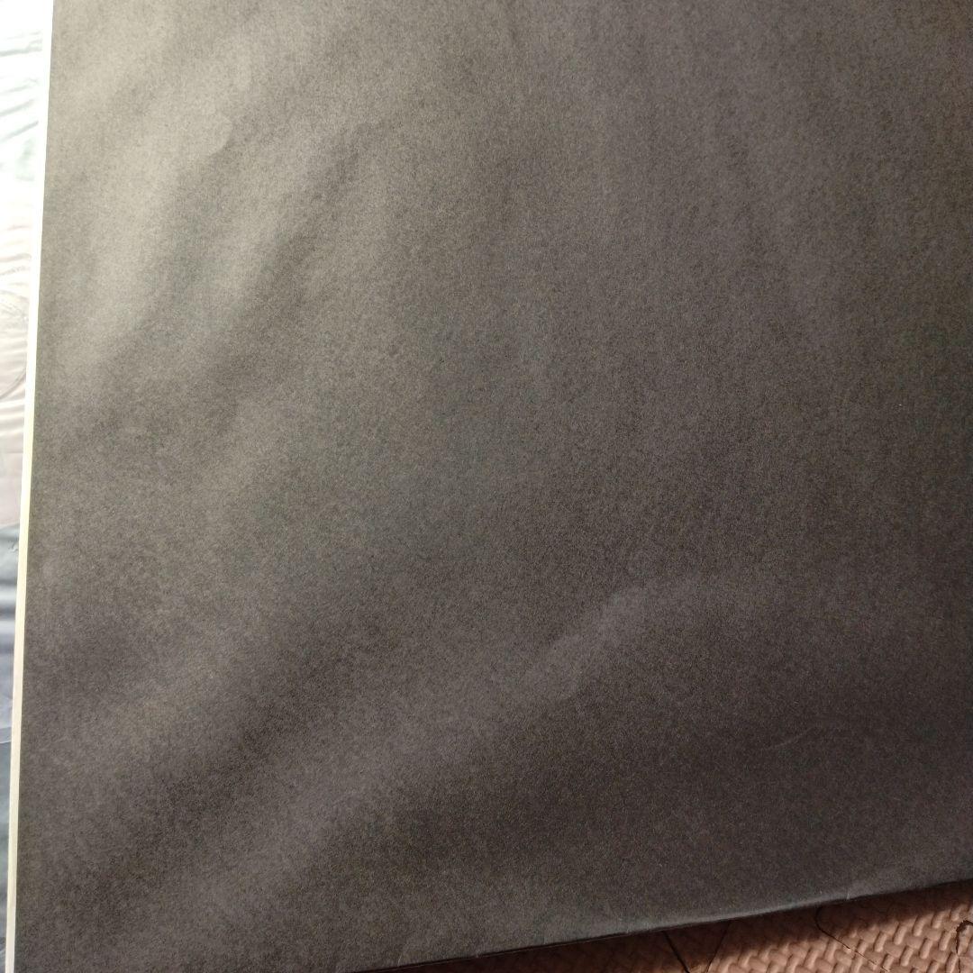 YELLOW MAGIC ORCHESTRA BGM 黒レコード