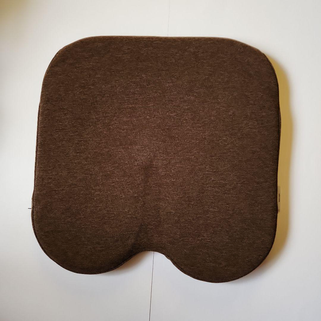 エクスジェル (アウルカンフィOWF10-BR)