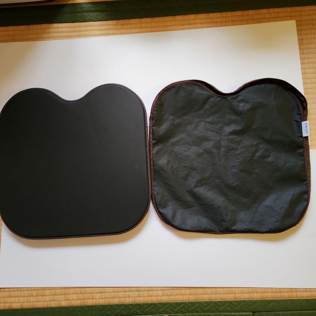 エクスジェル (アウルカンフィOWF10-BR)