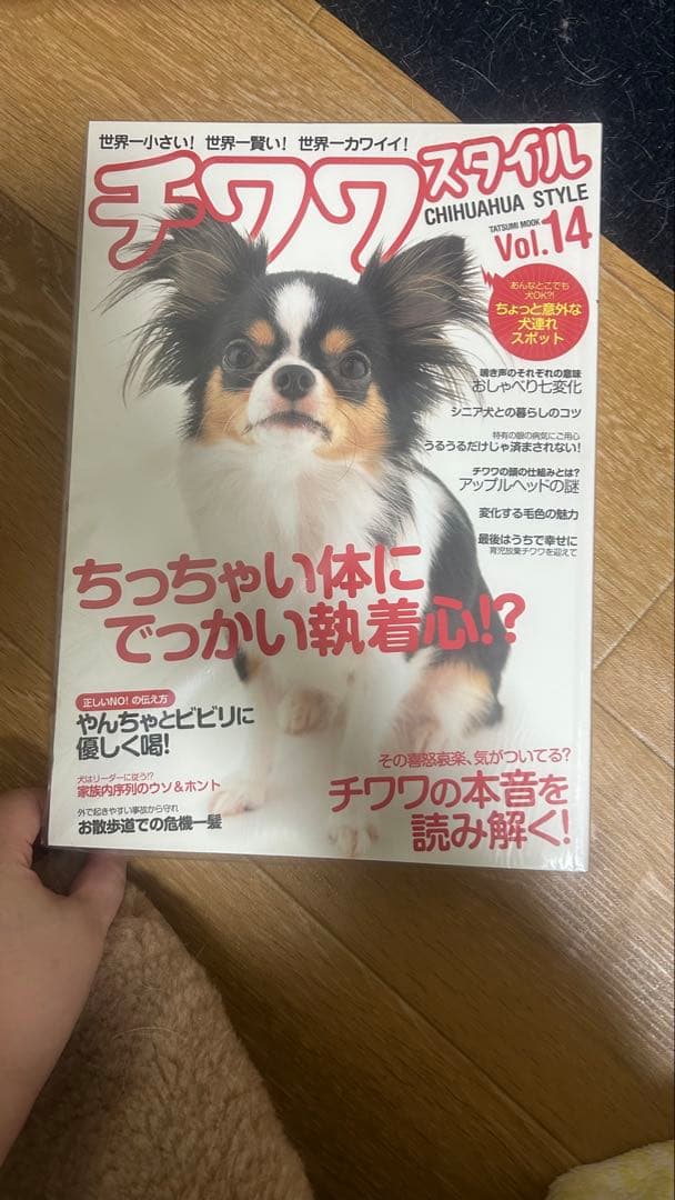 【週末限定セール！】チワワスタイルシリーズ 全33冊セット
