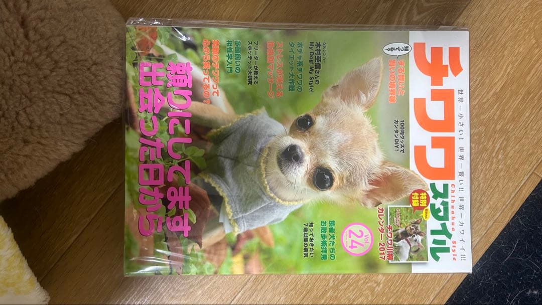 【週末限定セール！】チワワスタイルシリーズ 全33冊セット