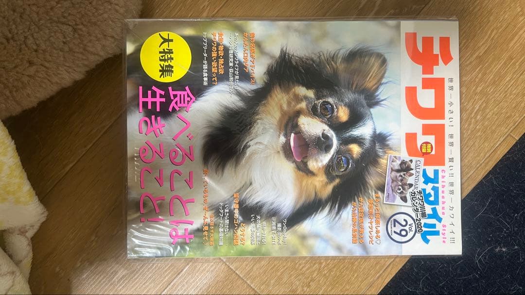 【週末限定セール！】チワワスタイルシリーズ 全33冊セット