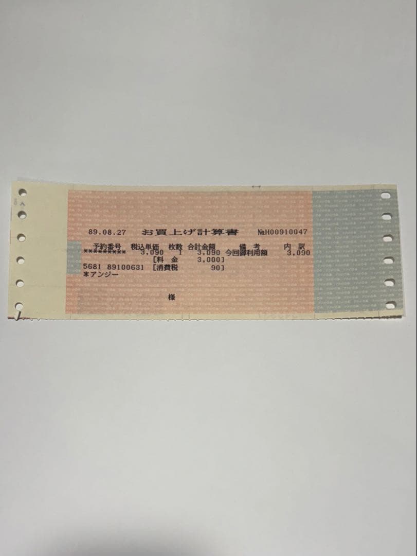 アート・デザイン・音楽 ANGIE VOLUNTEER '89 TOUR