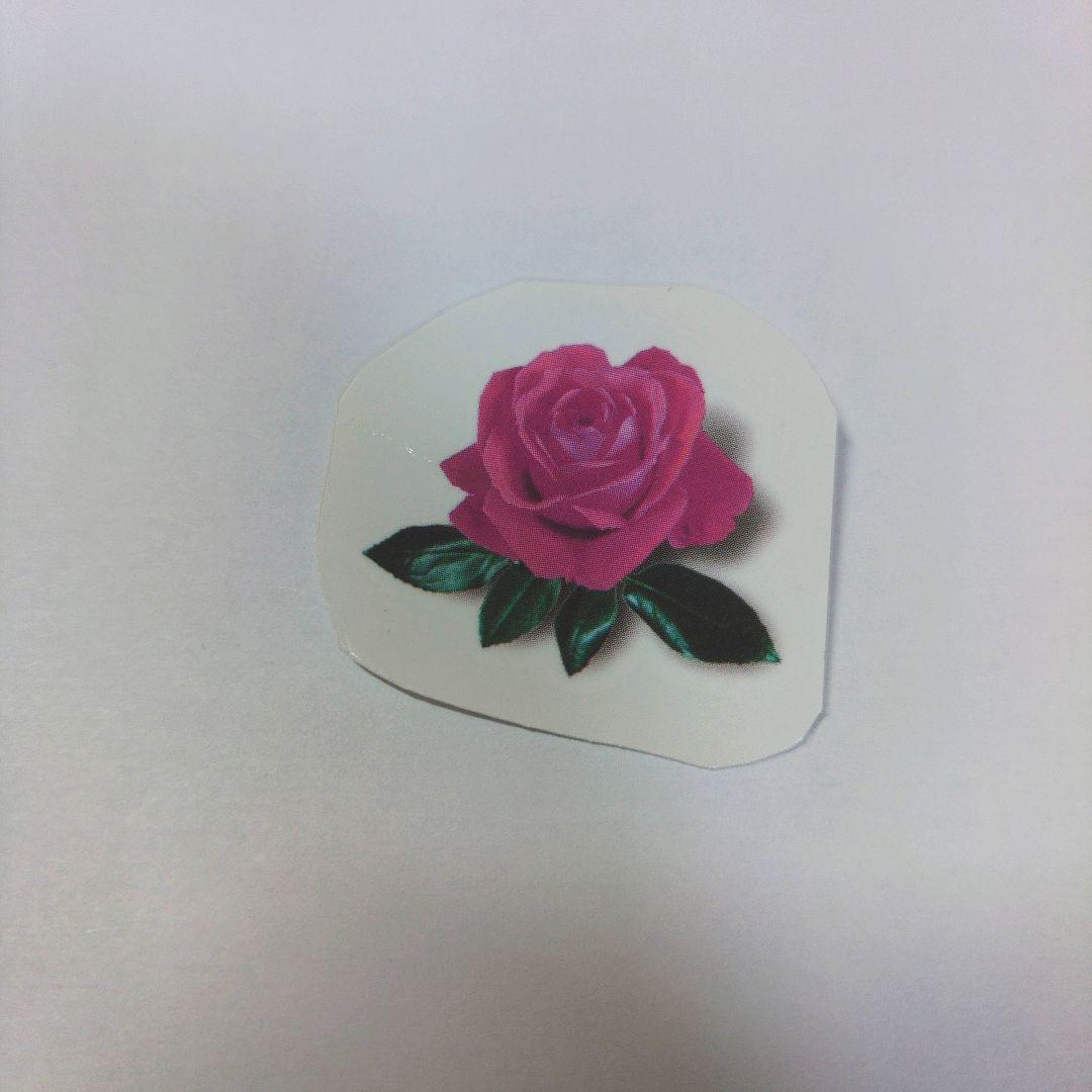 アリシアスタン　レディース　Mサイズ　水着　ビキニ　羽　パープル　ブルー　紐パン