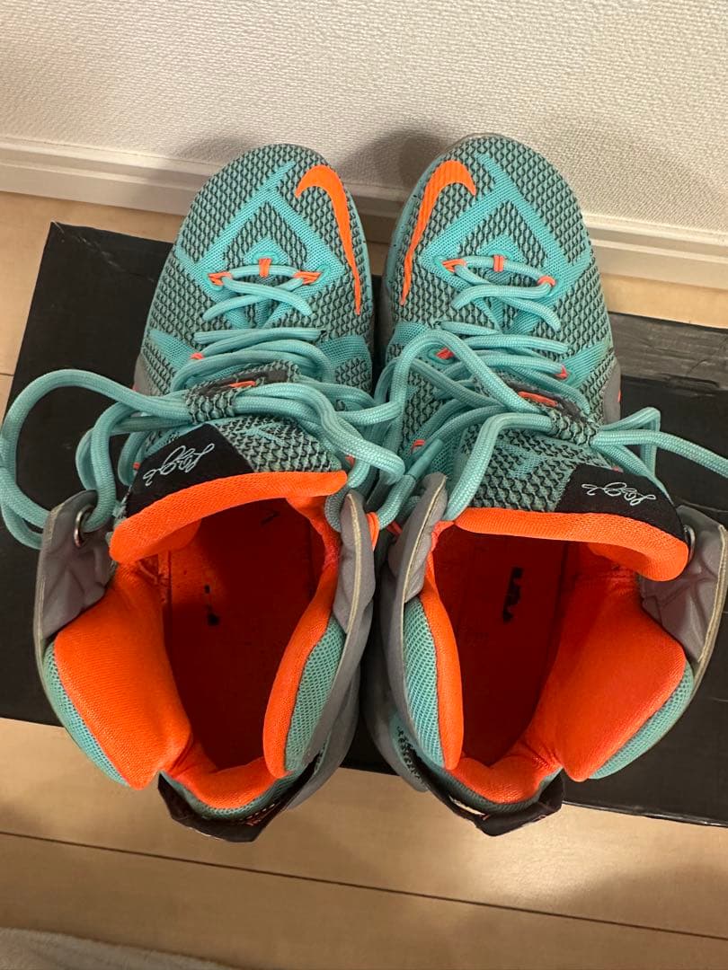 LEBRON XII レブロン12　NIKE バッシュ　ナイキ